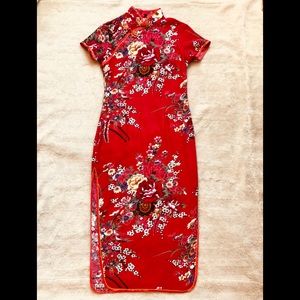 Gorgeous Oriental Dress